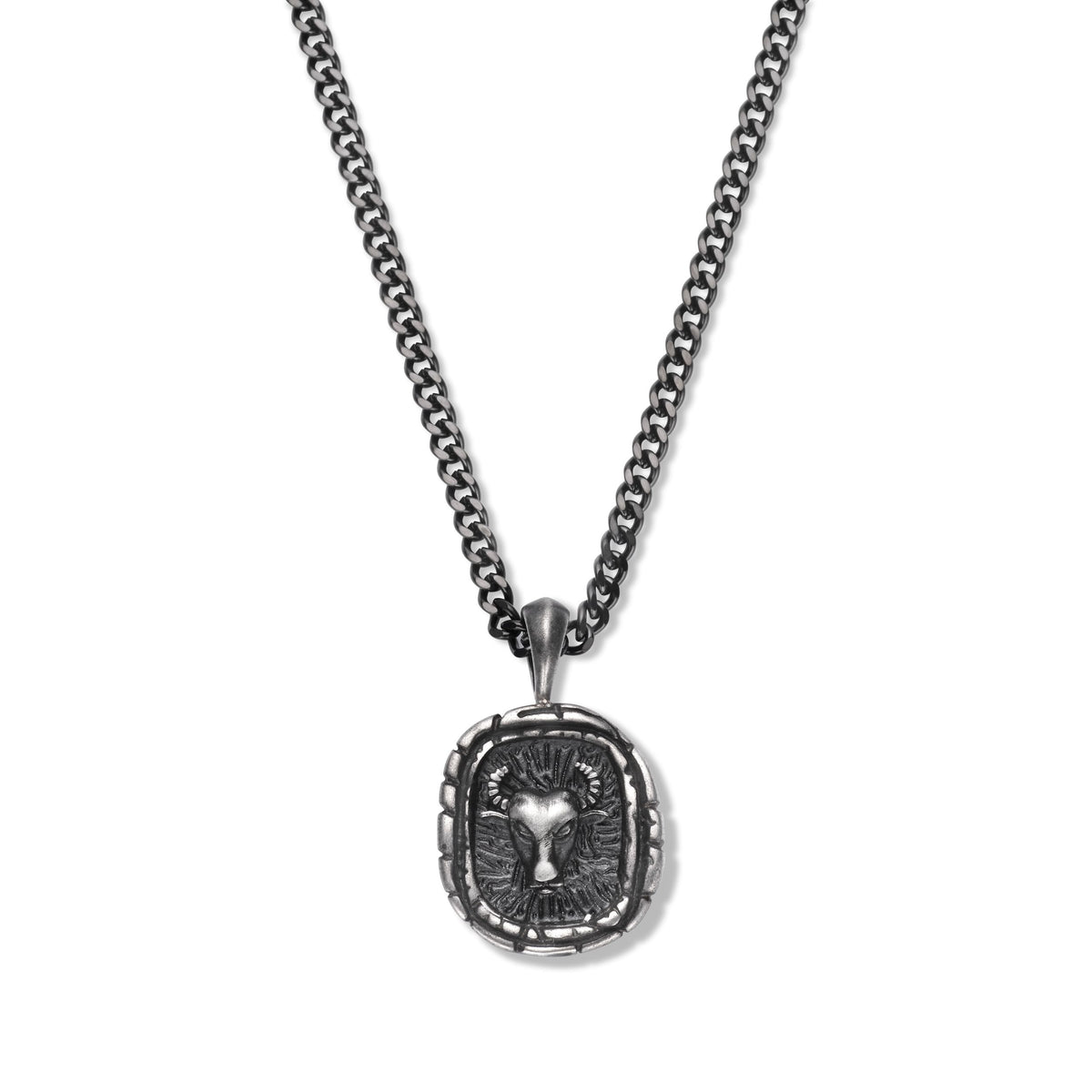 Zodiac ketting