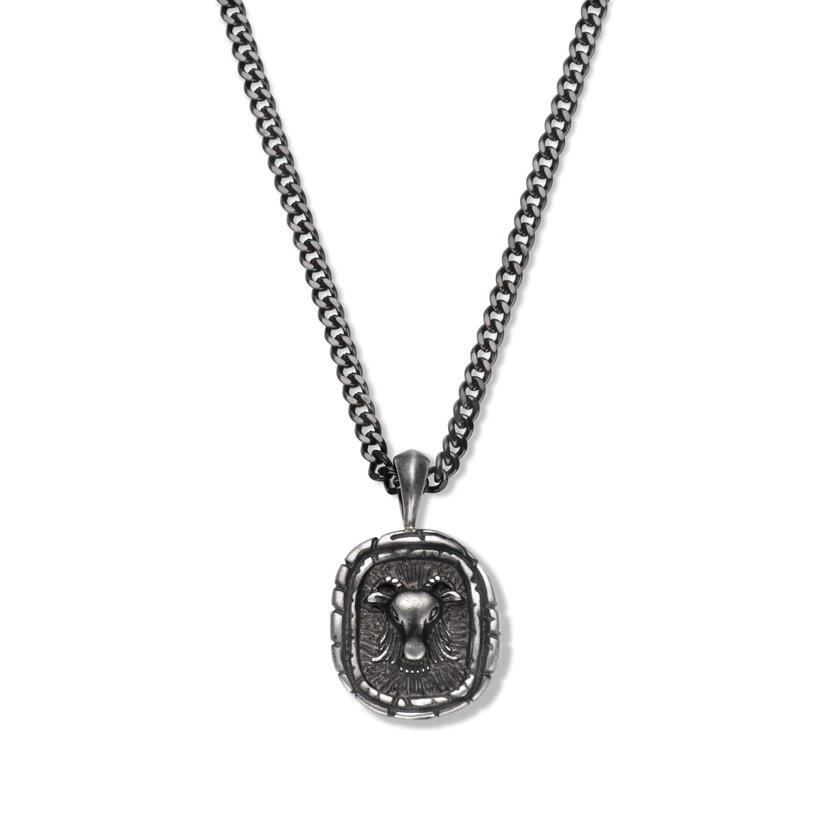 Zodiac ketting